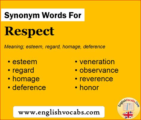 synonyms respect|words that mean respect opinions.